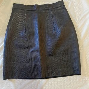 American Apparel Skirt